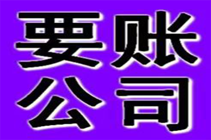 蝶山清账公司